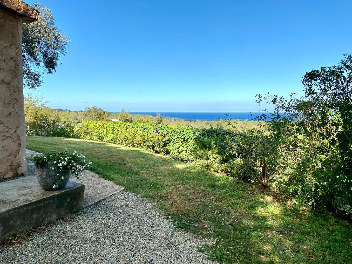 Domaine Punta Della Guardia Villa Panorama Maquis Et Mer, Plage A 1,5 Km Cervione Exterior foto