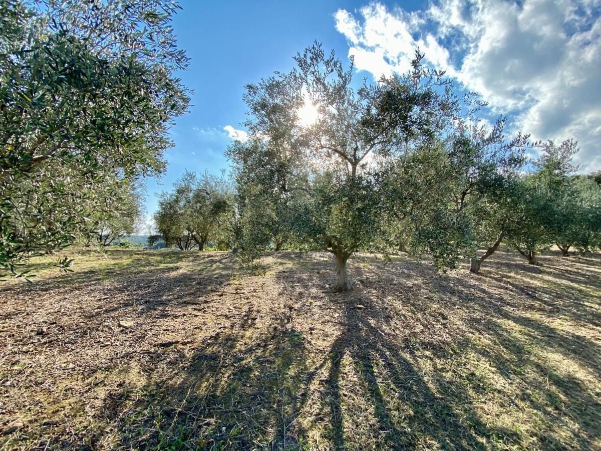 Domaine Punta Della Guardia Villa Panorama Maquis Et Mer, Plage A 1,5 Km Cervione Exterior foto